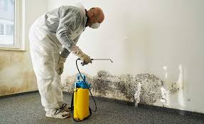 Best Mold Remediation for Healthcare Facilities  in Mcallen, TX