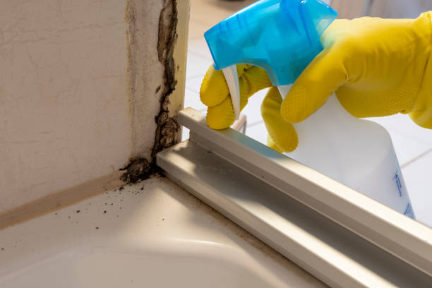 Best Biohazard Mold Removal  in Mcallen, TX