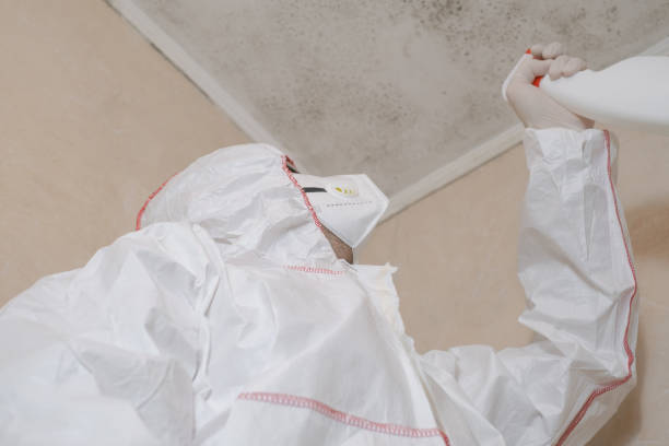 Best Commercial Mold Inspection  in Mcallen, TX